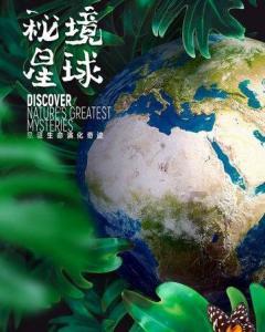 组装机械盔头龙2