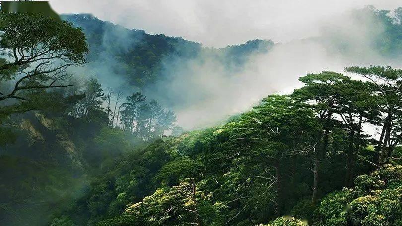 莫迪已经不重要了!霸权美梦将破碎,7国对华示好,风向已经变了