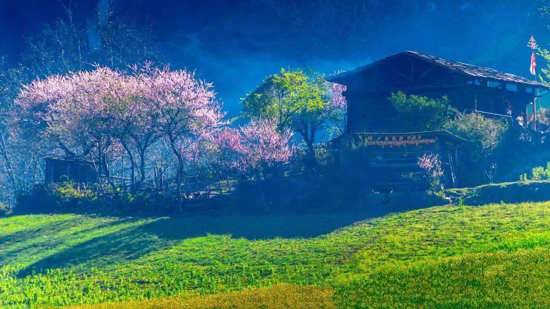 深耕年货场景11年 百草味年的味道坚果礼盒荣获“年度产品”奖