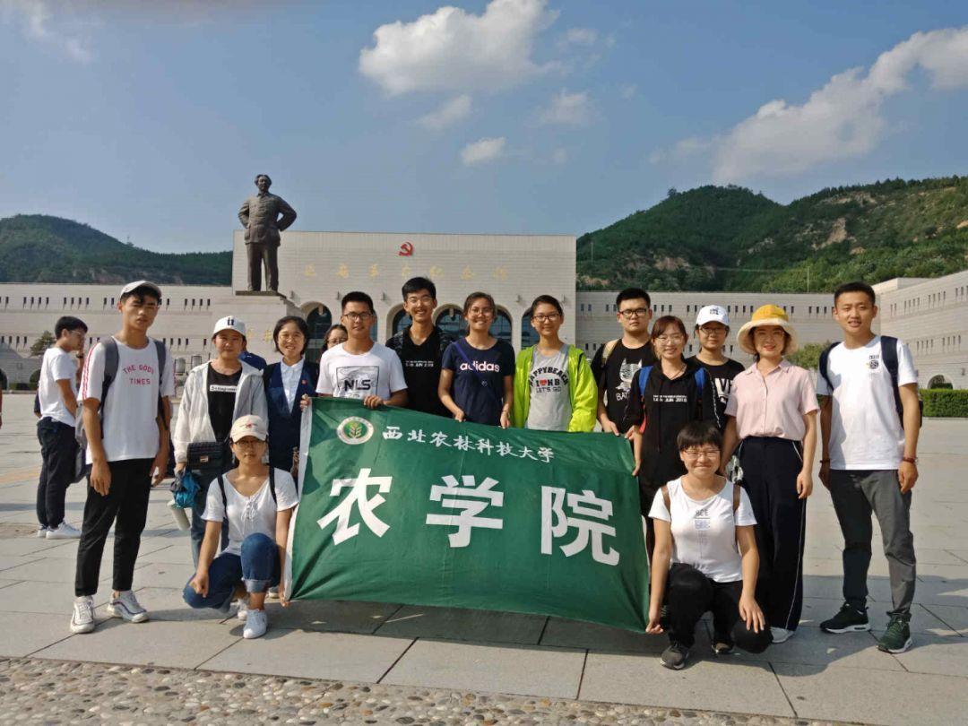圆周率20010208在第几位？游戏画面